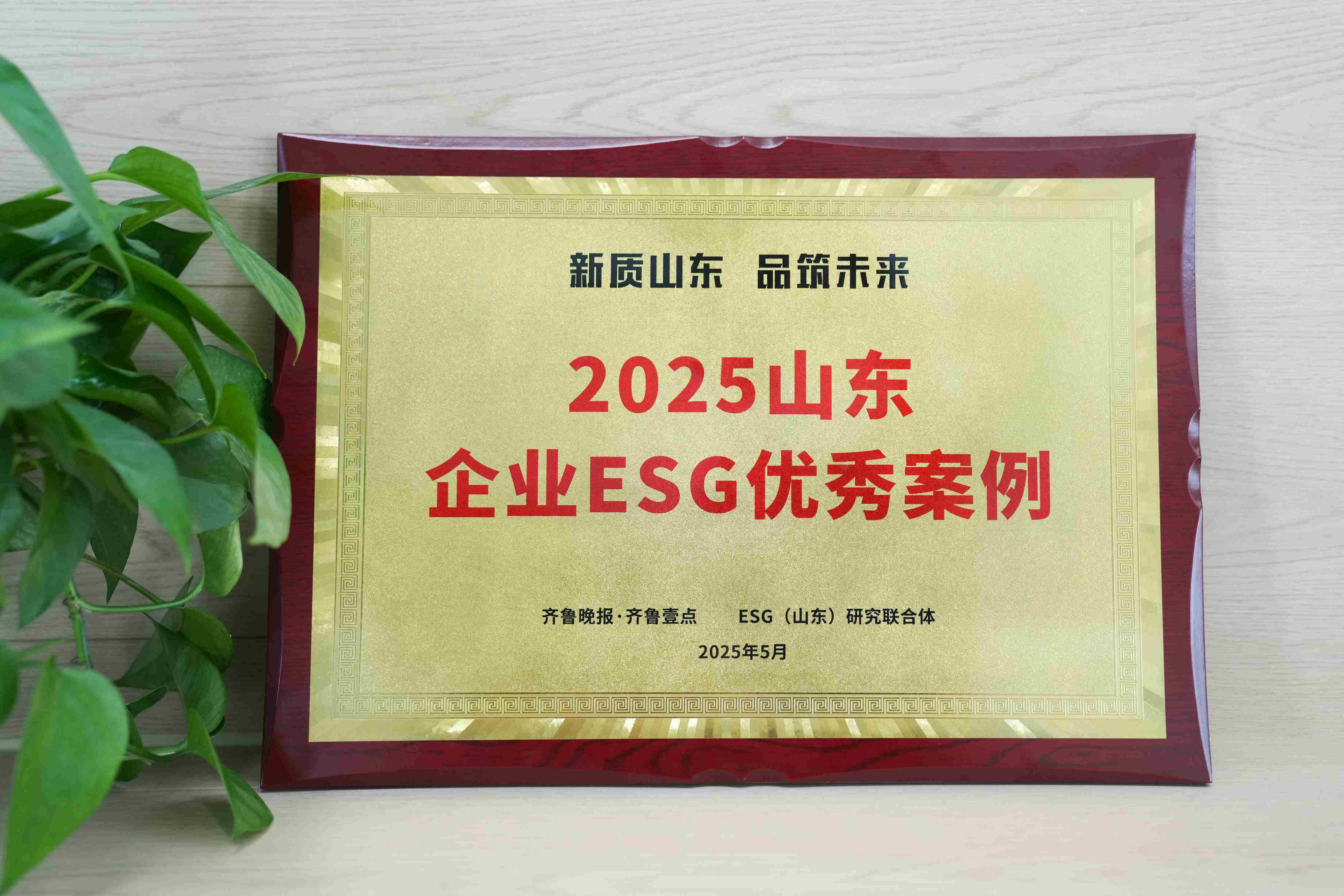 XCsports医疗入选2025山东企业ESG优秀案例